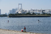 「東京の土木のある風景」部門　入選<br />題名：お台場海浜公園から見たレインボーブリッジ（都会のオアシス）<br />氏名：神田　昌明